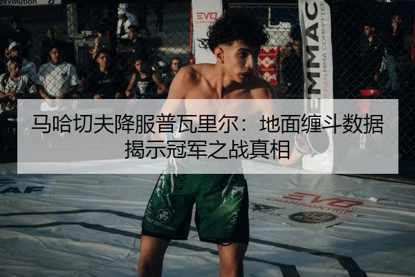 ma-ha-qie-fu-xiang-fu-pu-wa-li-er-di-mian-chan-dou-shu-ju-jie-shi-guan-jun-zhi-zhan-zhen-xiang-3-805.jpg