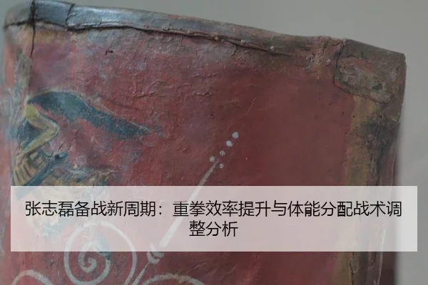zhang-zhi-lei-bei-zhan-xin-zhou-qi-zhong-quan-xiao-lv-ti-sheng-yu-ti-neng-fen-pei-zhan-shu-tiao-zheng-fen-xi-3-219.jpg
