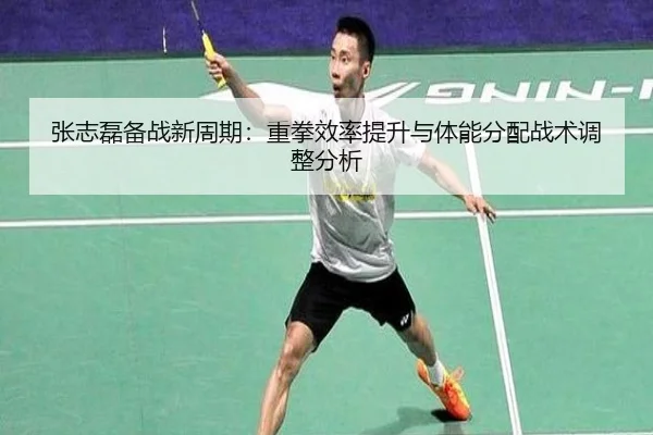 张志磊备战新周期：重拳效率提升与体能分配战术调整分析